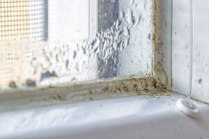 Tiny House Sachverständiger